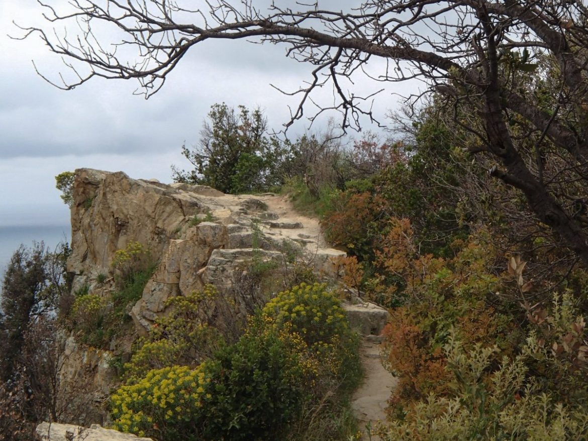 080 – 2019 – SESTRI LEVANTE (GE) – MONTE CASTELLO – PUNTA MANARA