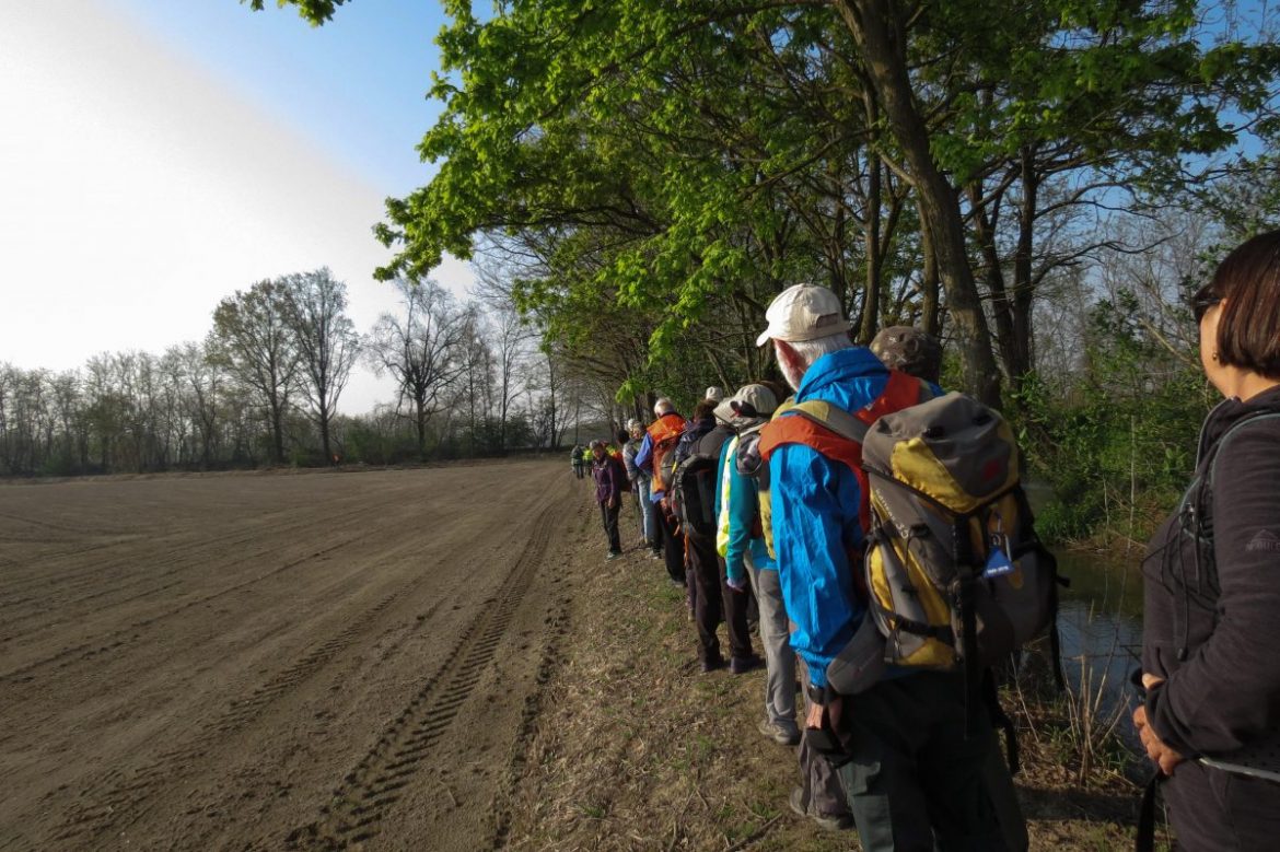 094 – 2019 – VIA FRANCIGENA 2019 – da MORTARA a GROPPELLO CAIROLI
