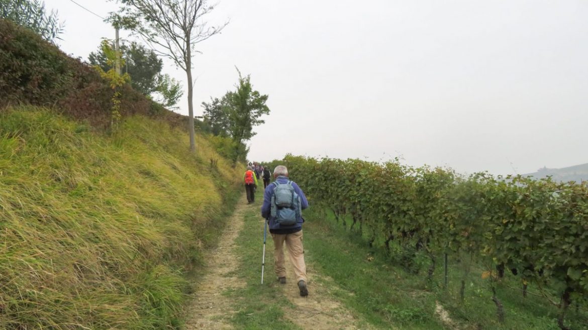 2019 – 200 – MONTEMARINO (CN) – SENTIERO DEL PARTIGIANO JOHNNY